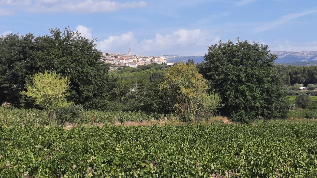 Appartement La tonnelle d'Olivier à La Cadiere-d'Azur Extérieur photo